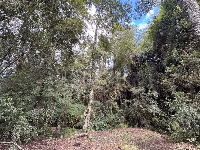 Casa en Venta en Pucón