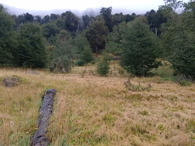 Parcela en venta en Coyhaique con casa mas quincho.