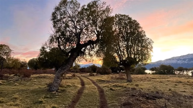 HERMOSA PARCELA EN VENTA CERCA DE CHILE CHICO