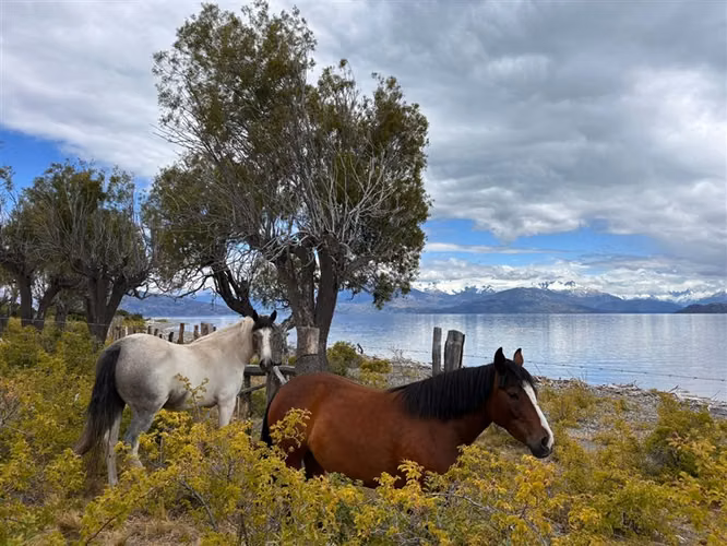 HERMOSA PARCELA EN VENTA CERCA DE CHILE CHICO