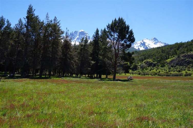 Parcela en venta en Río Ibáñez - Imagen 7