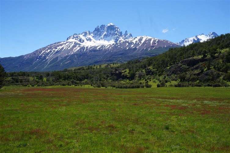 Parcela en venta en Río Ibáñez - Imagen 4