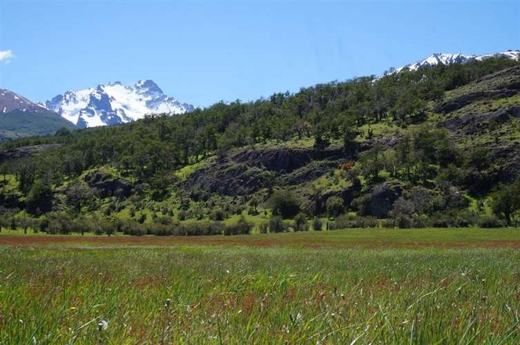 Parcela en venta en Río Ibáñez - Imagen 8