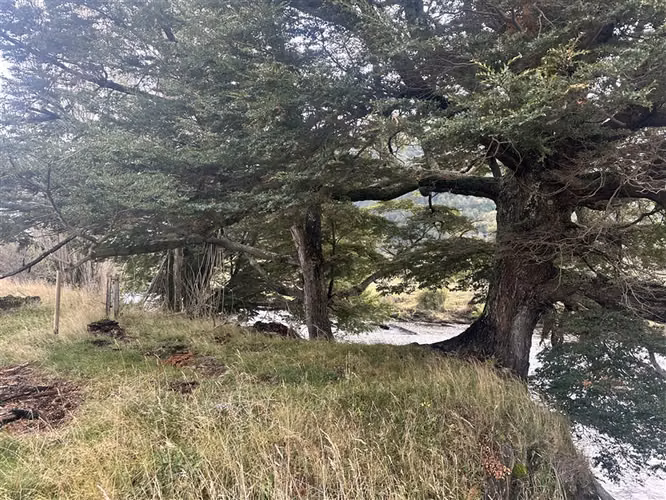 Hermosa Parcela en venta en Aysén, sector Mañihuales. - Imagen 18