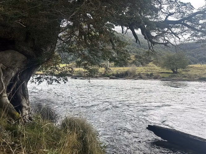 Hermosa Parcela en venta en Aysén, sector Mañihuales. - Imagen 22