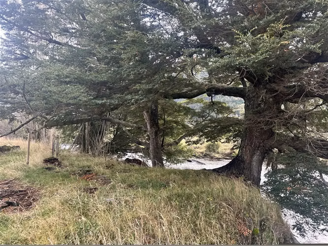 Hermosa Parcela en venta en Aysén, sector Mañihuales. - Imagen 19