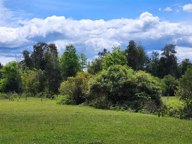 Agrícola en venta en Fresia