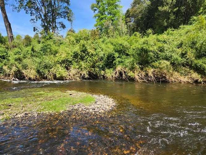 Agrícola en venta en Fresia