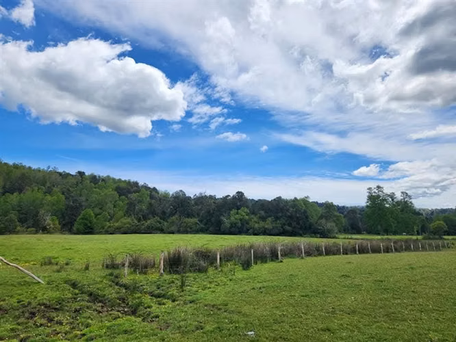 Agrícola en venta en Fresia