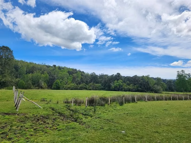 Agrícola en venta en Fresia