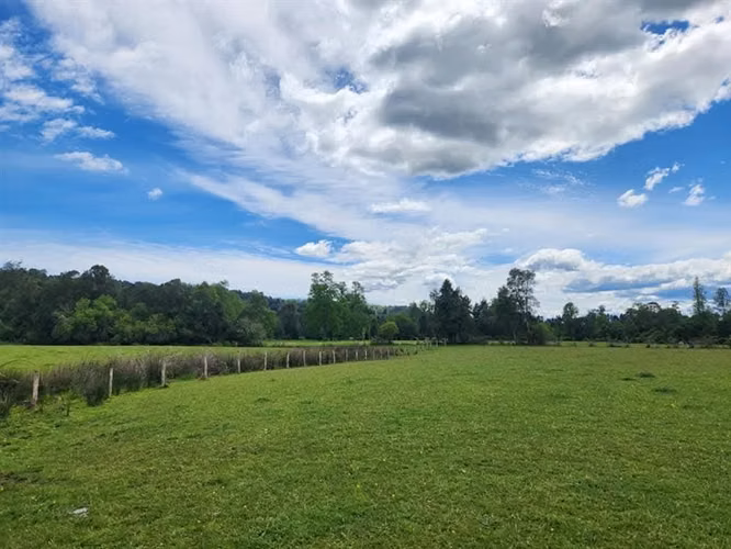 Agrícola en venta en Fresia