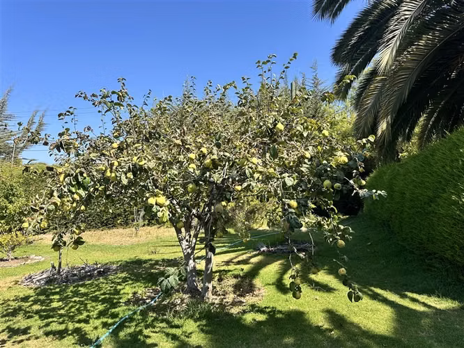 Hermosa parcela en venta en La Serena