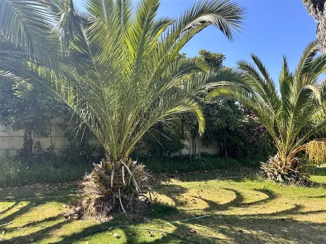 Hermosa parcela en venta en La Serena