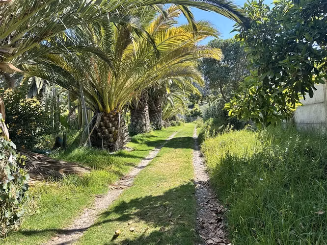Hermosa parcela en venta en La Serena