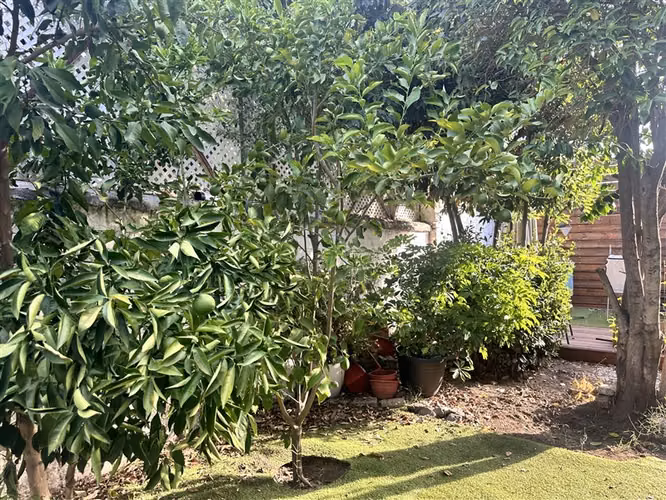 Casa en venta de 3 dorm. en Providencia - Imagen 2