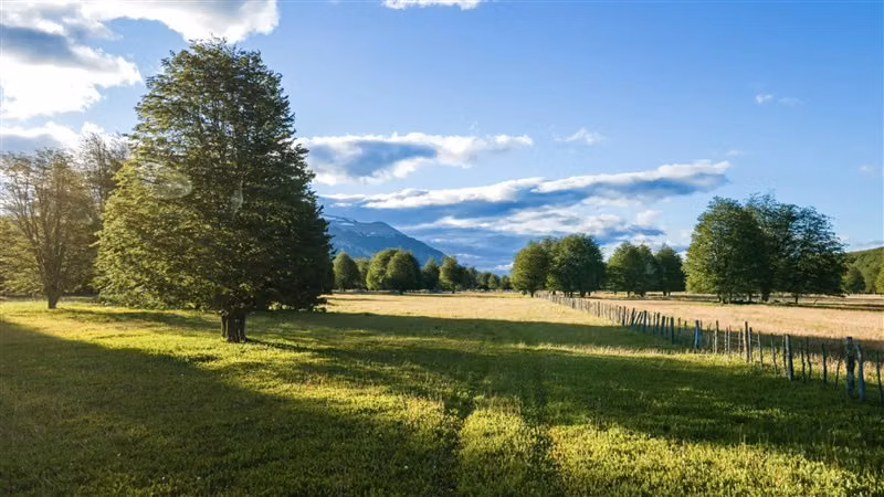 Parcela en venta en Coyhaique