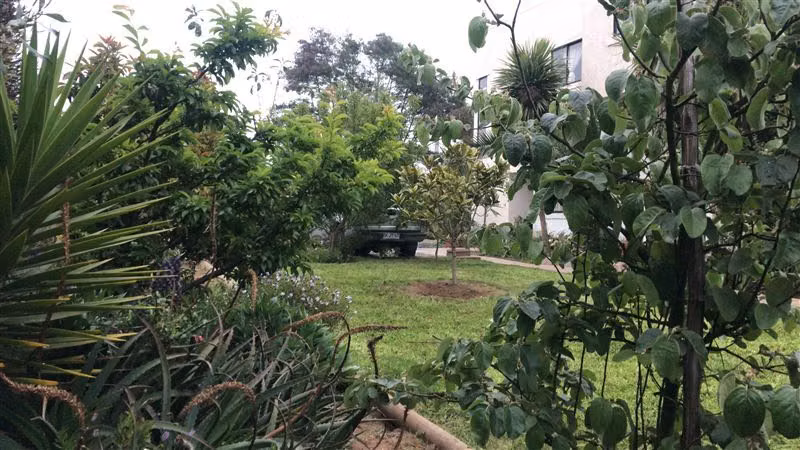 Casa en venta en Puchuncaví