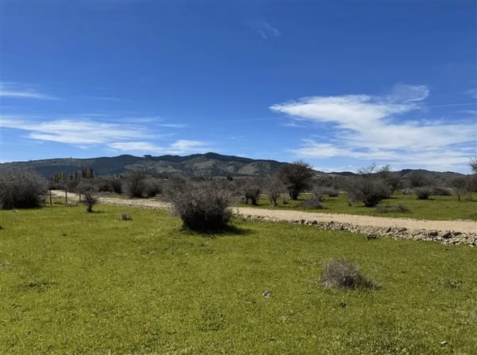 Parcela en venta en Cauquenes
