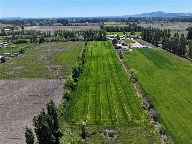Agrícola en venta en Linares