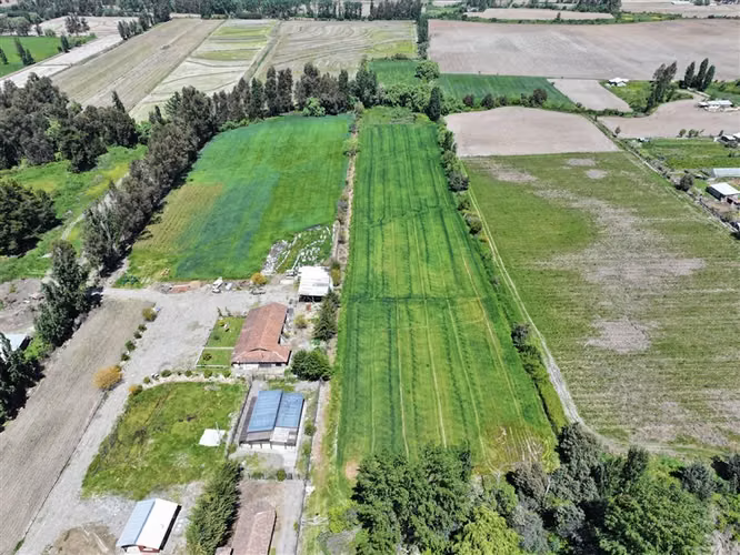 Agrícola en venta en Linares