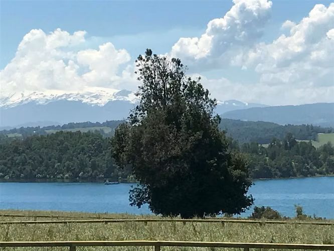 Sitio con acceso a lago vista volcanes a 5 km de Panguipulli - Imagen 7