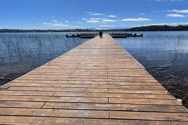 Sitio con acceso a lago vista volcanes a 5 km de Panguipulli - Imagen 12