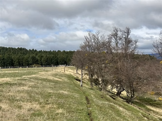Hermosa Parcela en venta en sector Ensenada, Coyhaique