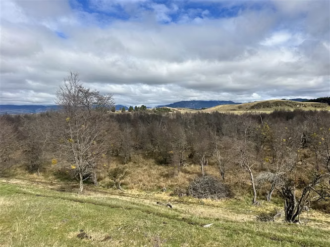 Hermosa Parcela en venta en sector Ensenada, Coyhaique
