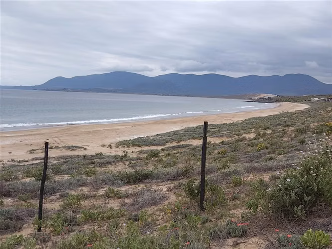 Parcela en venta en condominio Las Mostazas, Cuarta Region.