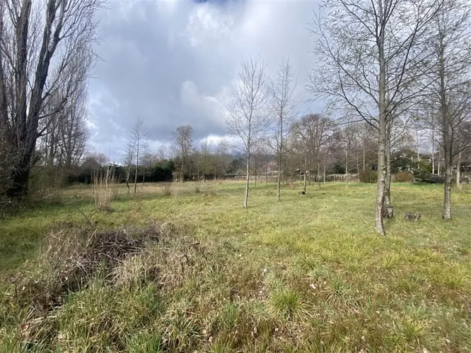 3.500 M2 URBANOS EN PUCON - Imagen 4