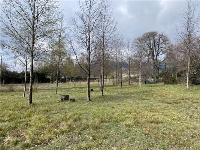 3.500 M2 URBANOS EN PUCON - Imagen 9