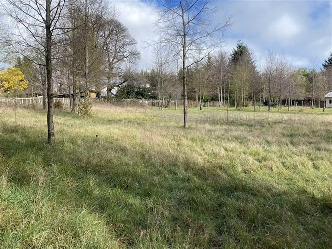 3.500 M2 URBANOS EN PUCON - Imagen 12