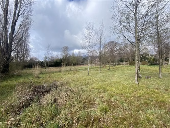 3.500 M2 URBANOS EN PUCON - Imagen 3