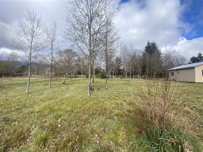 3.500 M2 URBANOS EN PUCON - Imagen 7