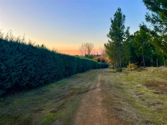Parcela en venta en Quillón - Imagen 5