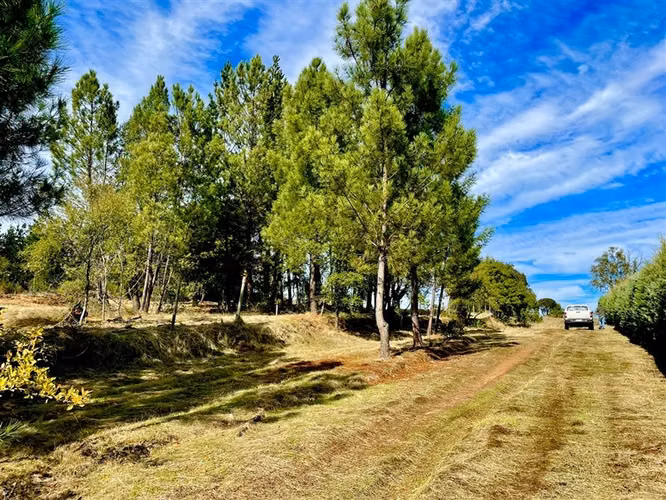 Parcela en venta en Quillón - Imagen 2