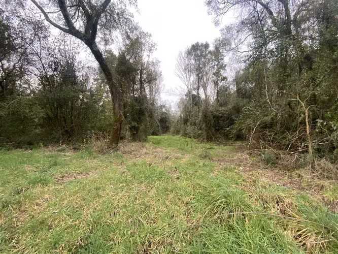 Parcela con arroyo y acceso a río