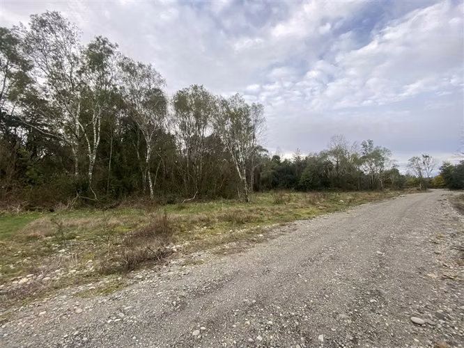 Parcela con arroyo y acceso a río