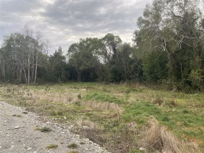 Parcela con arroyo y acceso a río