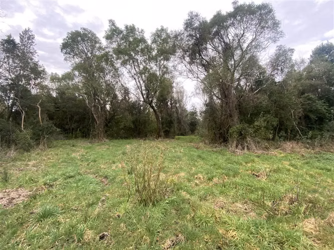 Parcela con arroyo y acceso a río