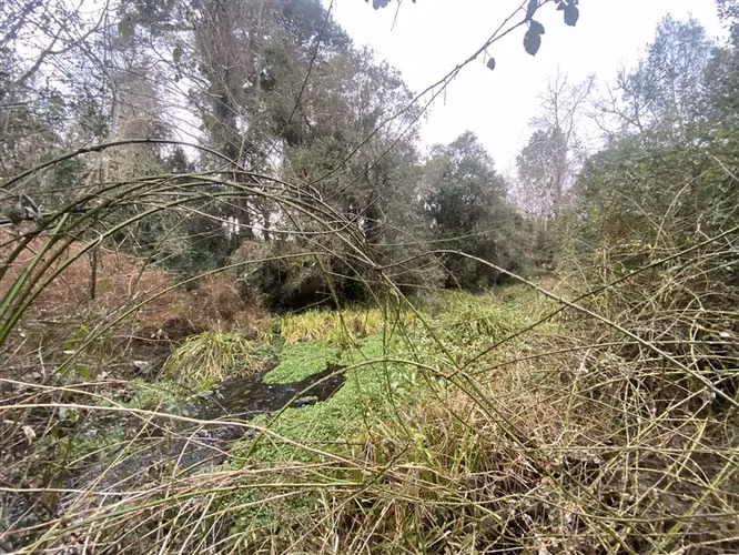 Parcela con arroyo y acceso a río
