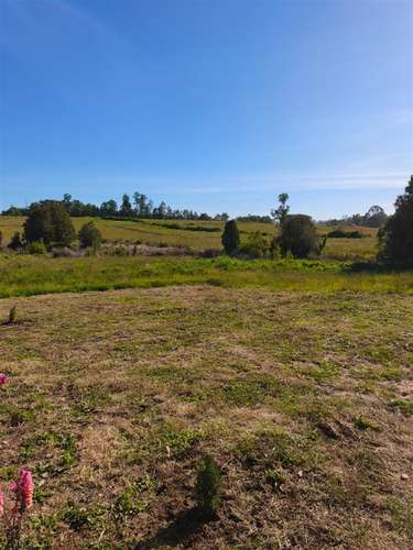 Parcela en venta en Fresia - Imagen 6