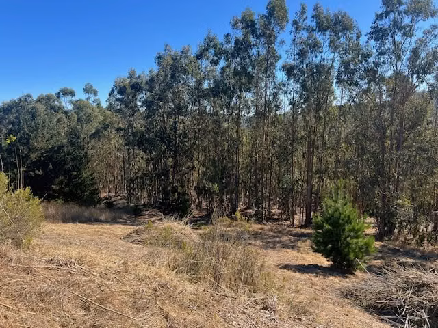 Lindo sitio entre Matanzas y Pupuya con vista lejana al mar
