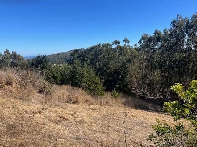 Lindo sitio entre Matanzas y Pupuya con vista lejana al mar