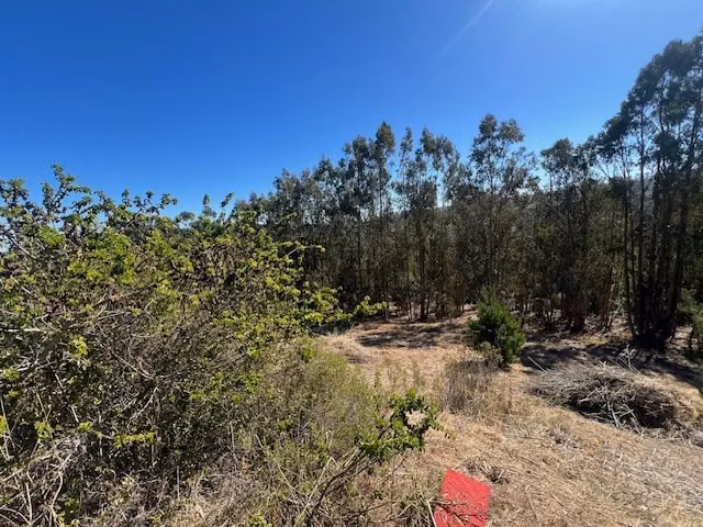 Lindo sitio entre Matanzas y Pupuya con vista lejana al mar