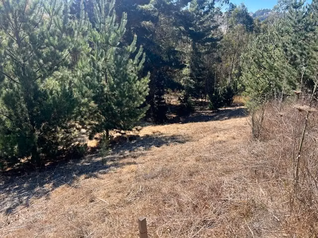 Lindo sitio entre Matanzas y Pupuya con vista lejana al mar