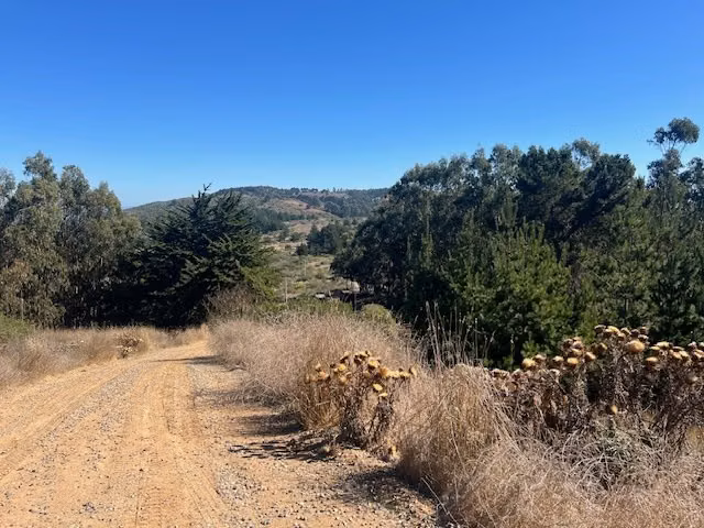 Lindo sitio entre Matanzas y Pupuya con vista lejana al mar