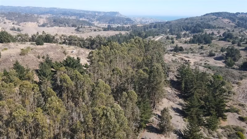 Lindo sitio entre Matanzas y Pupuya con vista lejana al mar