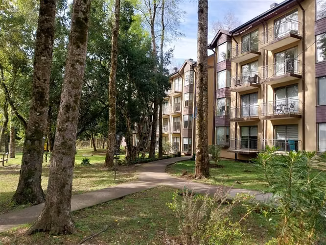 Departamento en venta de 1 dorm. en Pucón