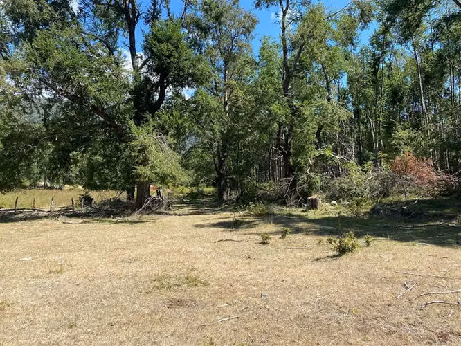 Parcela en venta de 5000 M2 con dos casas nuevas